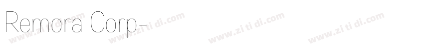 Remora Corp字体转换